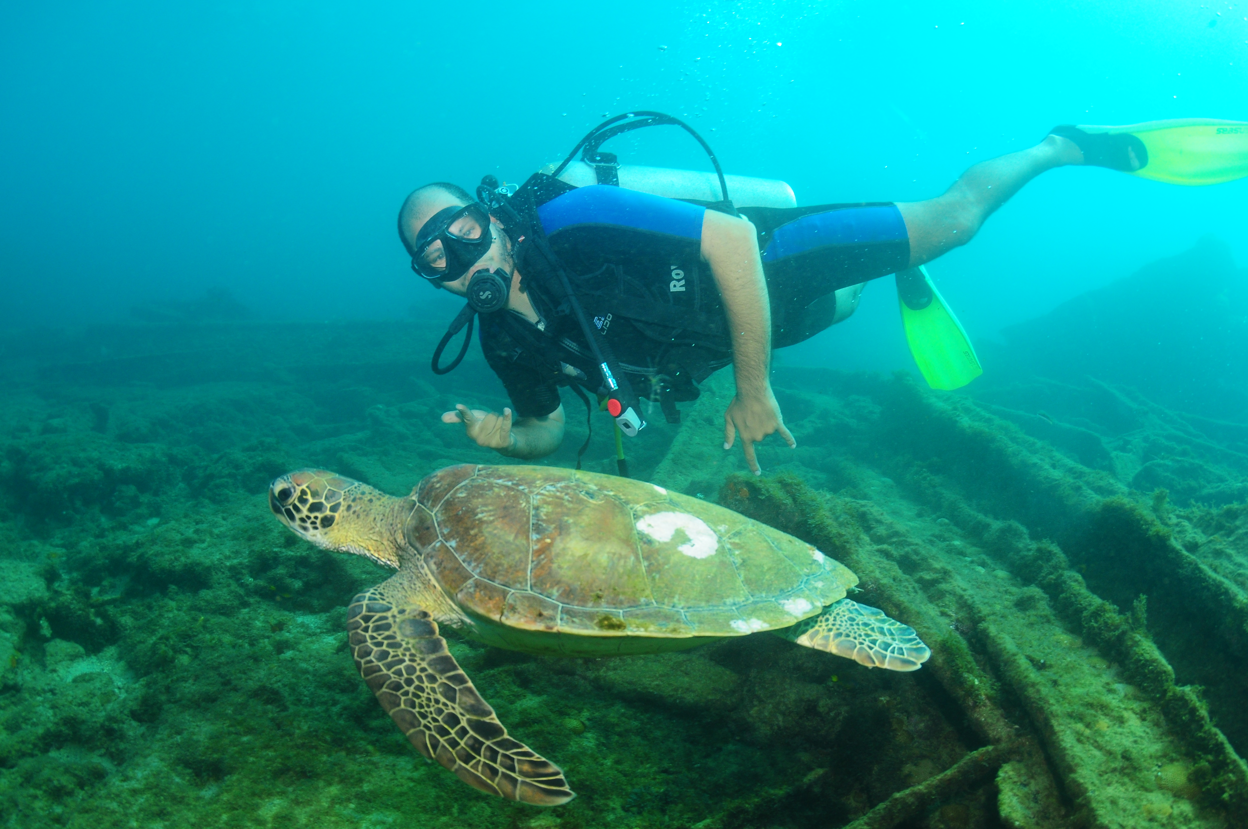 José María em mergulho na praia com tartaruga